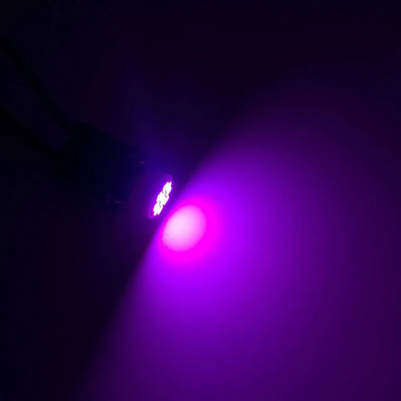 HTB1lnTINXXXXXcEXFXXq6xXFXXXg