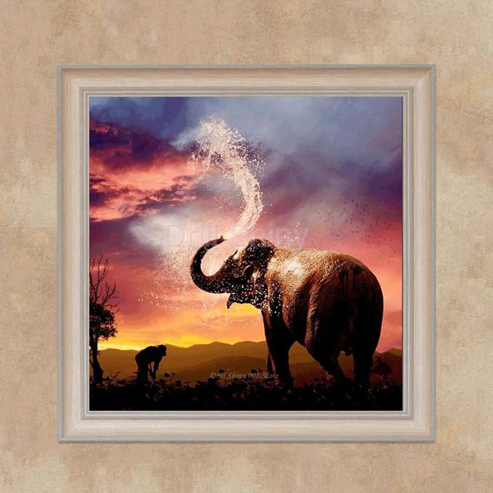 61bwwED3vpL._SL1001_