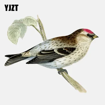 

YJZT 13.4CM*11.3CM Interesting Birds Standing On Branches PVC Motorcycle Car Sticker 11-01490
