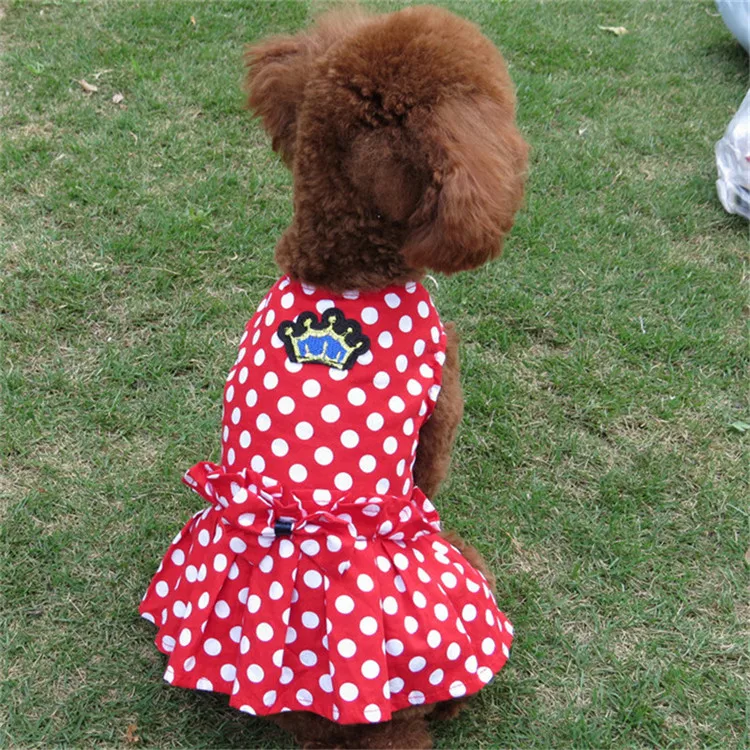 Dogs Clothes (1)