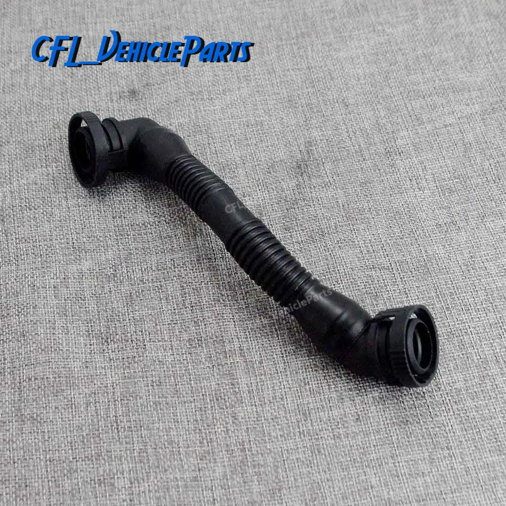 IMGP6537