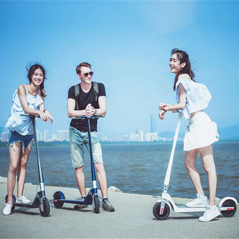 Daibot Foldable Kick Scooter Two Wheel Electric Scooters Double Drivile With LCD Display Portable Electric Scooter For Adult (16)