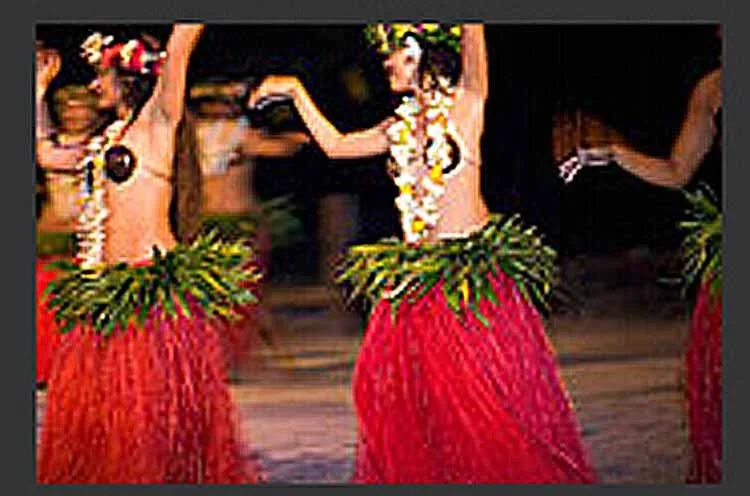 Взрослый Гавайский кокосовый Бюстгальтер Вечерние и поставки гавайский модный бюстгальтер+ 1 шт. гавайское ожерелье для подарка