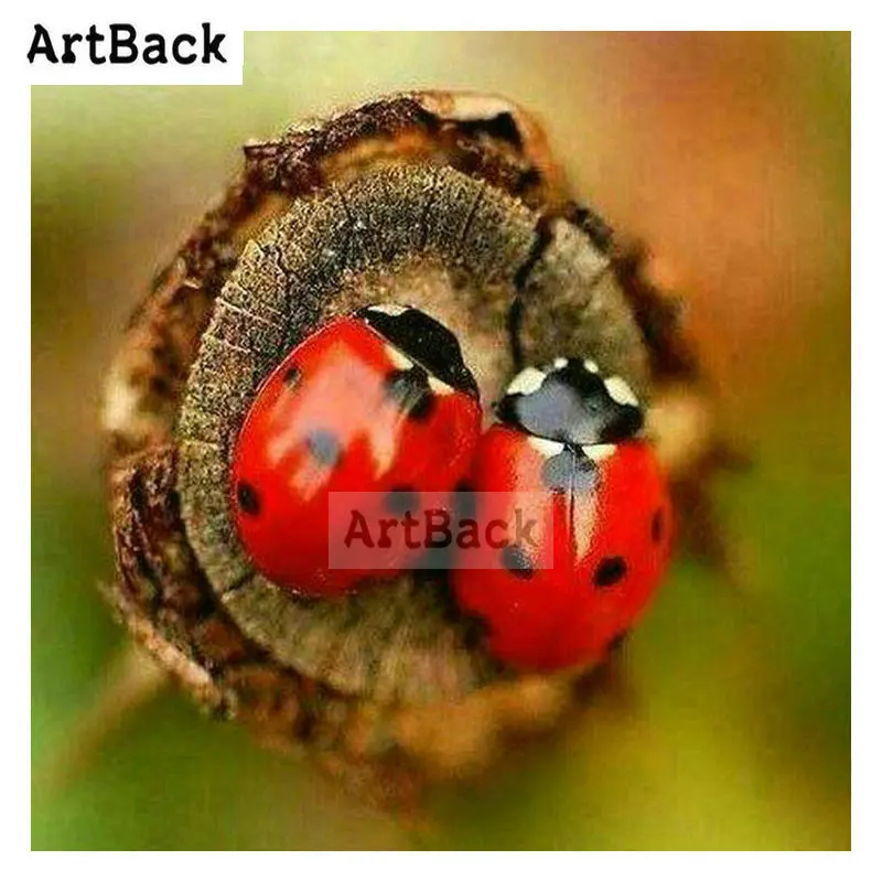

ARTBACK New 5d diy diamond painting red ladybug 3D full square round drill diamond embroidery decoration gift