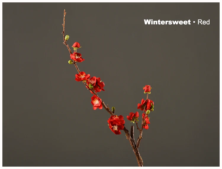 23 Wintersweet Product Image
