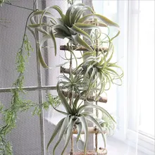 Новое поступление искусственное воздушное растение тилландсия искусственное растение суккулент лист ананаса