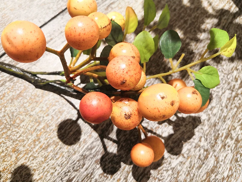 HTB1d4JyXUzrK1RjSspmq6AOdFXaR