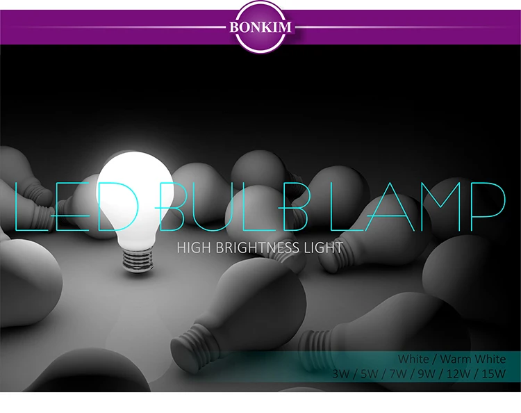 LED Bulb Lamp_01