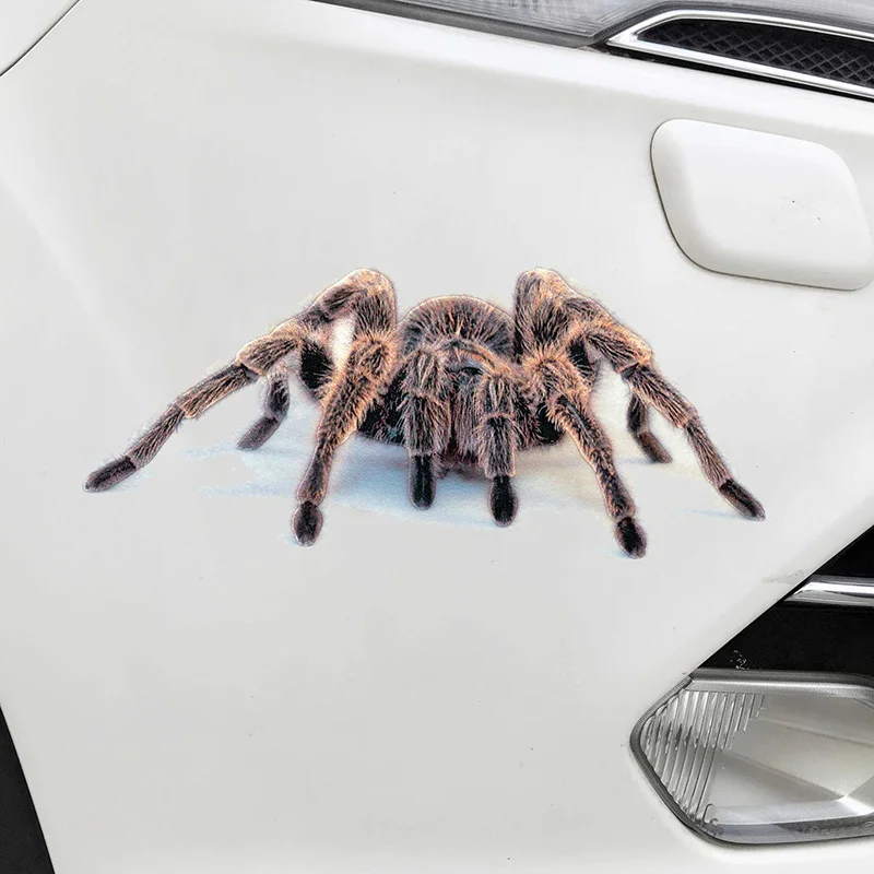 3D ПВХ стикер автомобиля ящерица скорпион паук наклейка на кузов и окна автомобиля Наклейка DXY88