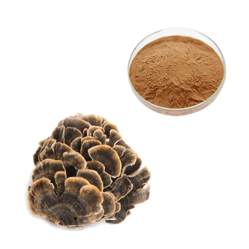 

500gram Natural Coriolus Versicolor Extract 30% Polysaccharides Powder