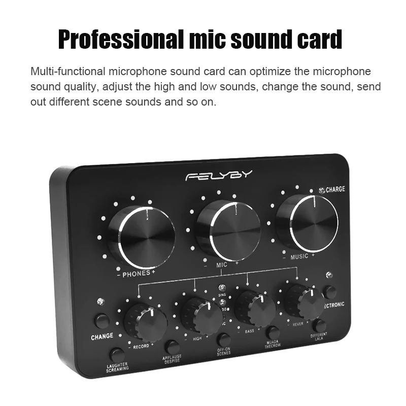 Professional BM800 microphone webcast recording