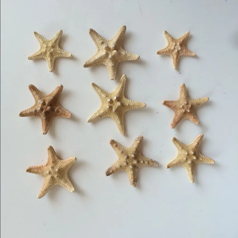 3_
