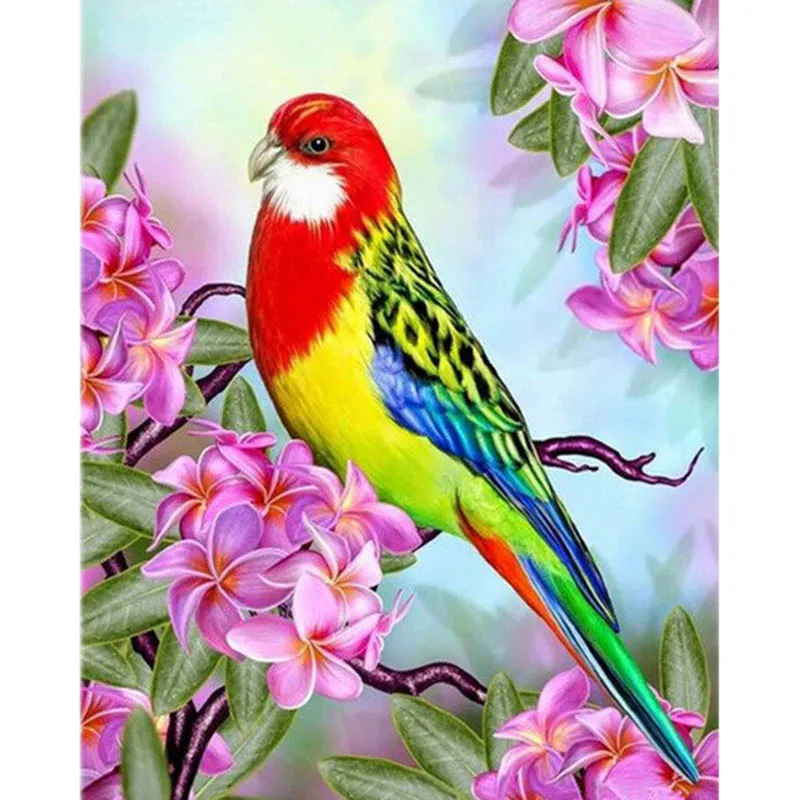 DIY-Diamond-Painting-Parrots-and-Flowers-5D-Diamond-Embroidery-Cross-Stitch-Pattern-Home-Decor-Needlework-Diamond.jpg_640x640