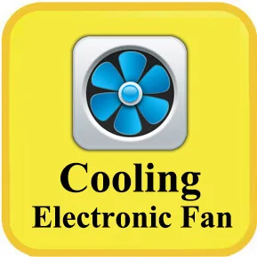 Fan