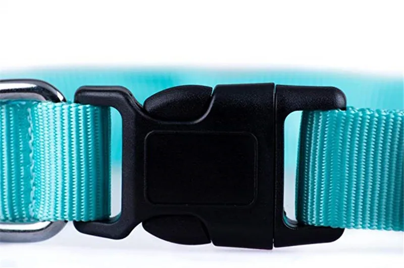 LED dog Collar10