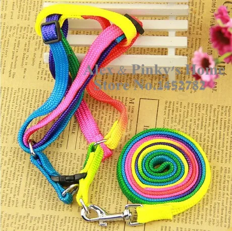 Colorful Style font b Pet b font Harness Leashes For Dogs Collar Rainbow Dog font b