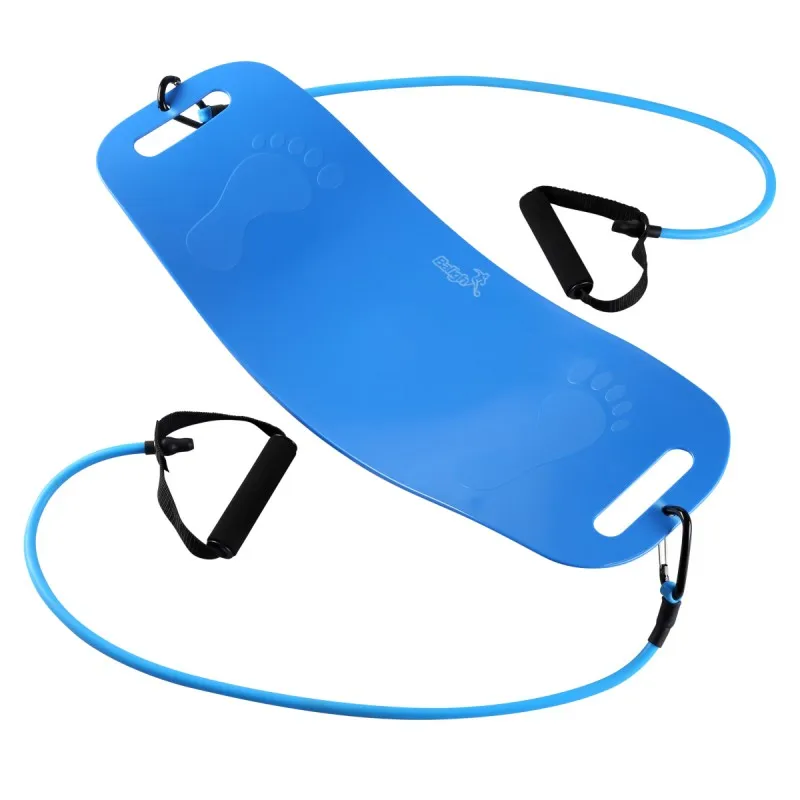 

Twisting Fitness Balance Board Simple Core Workout for Abdominal Muscles and Legs Balance Yoga ship from US