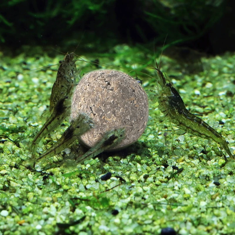 

3pcs Nitrobacteria Bio Bacterial Ball Clean Water For Aquarium Fish Tank Pond