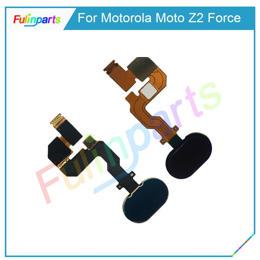 Z2 Force  30 (3)