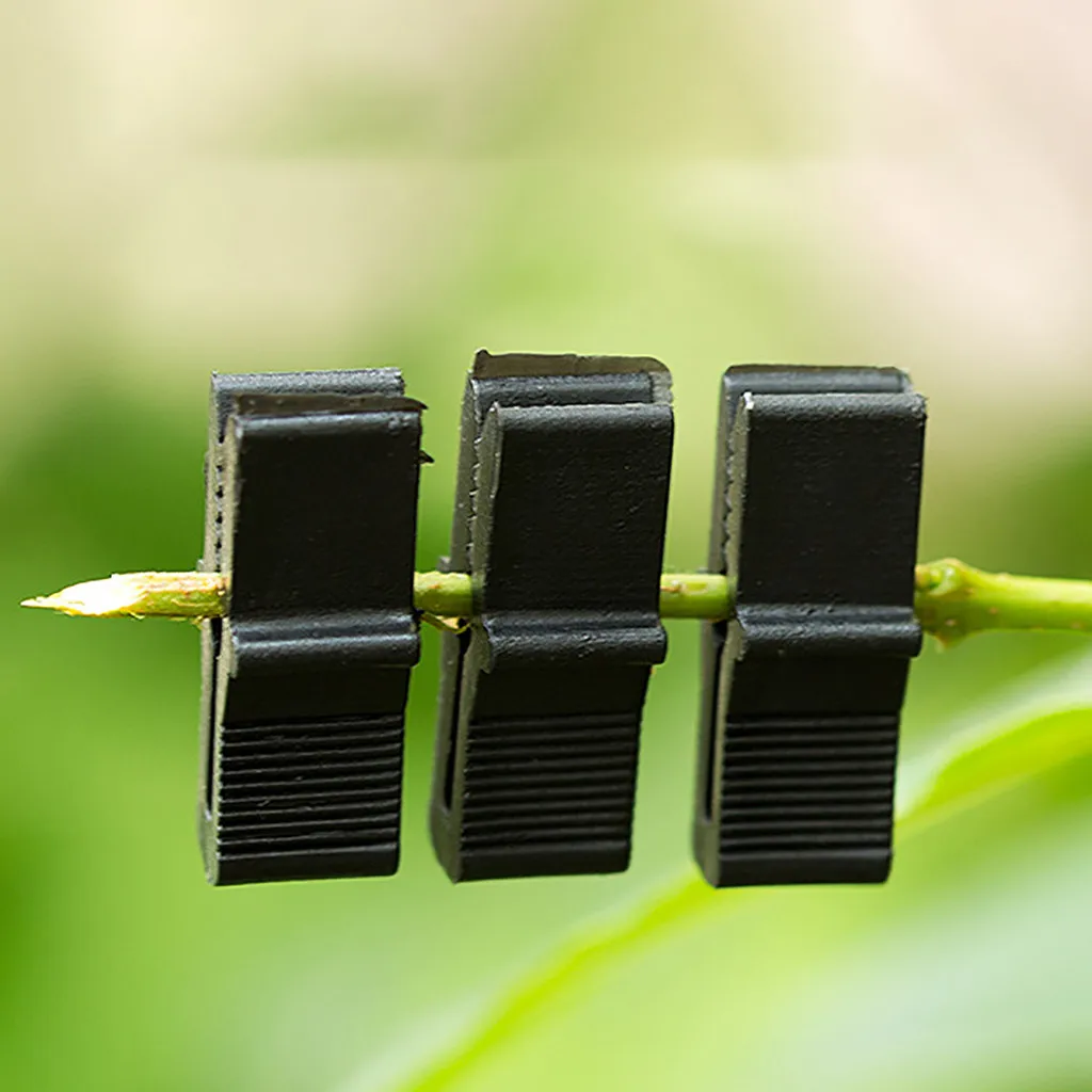 100 шт нетоксичные Ecofriendly пластиковые защитные стебли орхидеи зажимы садовые инструменты сад цветок орхидеи зажимы стебли лозы растут вертикально