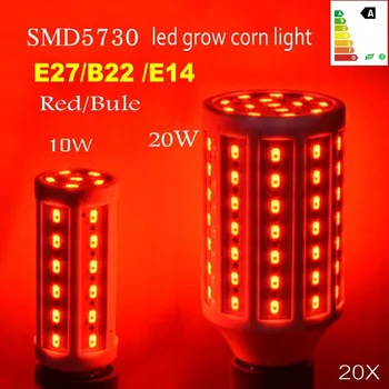 

20pcs/lot 10W20W red Bule light emmiting SMD 5730 LEDGrow Corn Light for Flowers and Vegetable E27 E14 B22 85-265V Grow lights