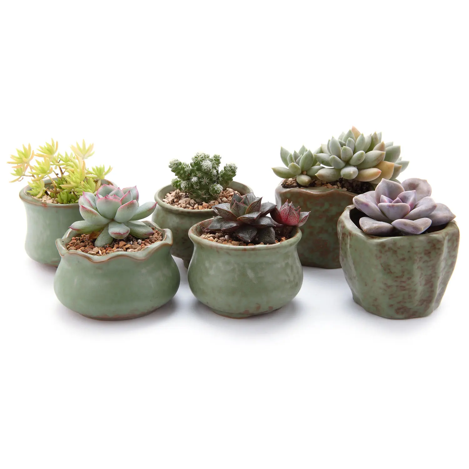 

Ceramic Retro Spring Round stumps Succulent Cactus Plant Pots Flower Pots Planters Containers Window Boxes garden decoration