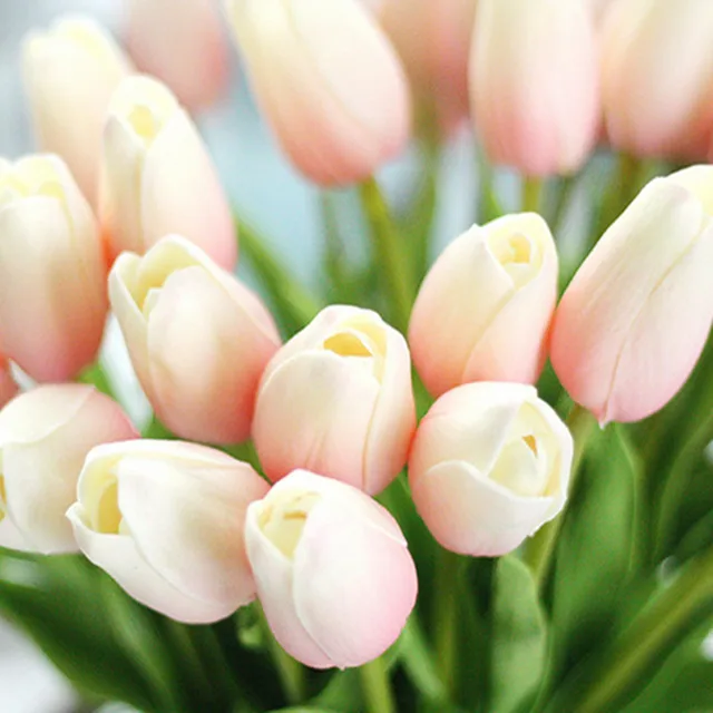 Nienie 1PC PU tulipany sztuczne kwiaty Real Touch artificiales para Decora mini Tulip dla domu ślub dekoracji kwiaty tanie tanio Masz 1 sztuk tulipan dla kochanka lub matka lub przyjaciele Głowa kwiatka Ślub dzień matki Walentynki na imprezę lub ślub dekoracji kwiat Nienie 1PC PU tulipany sztuczne kwiaty Real Touch artificiales para Decora mini Tulip dla domu ślub dekoracji kwiaty tanie tanio Masz 1 sztuk tulipan dla kochanka lub matka lub przyjaciele Głowa kwiatka Ślub dzień matki Walentynki na imprezę lub ślub dekoracji kwiat