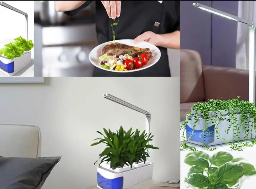 Светодиодный светильник для выращивания растений в помещении, садовый комплект для растений, полный спектр, Регулируемый рычаг, лампа для посадки растений