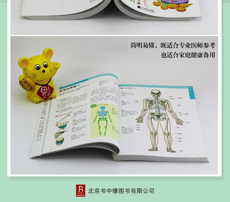 3D человеческая Книга по анатомии: Анатомия мышц тела и физиология с картинкой