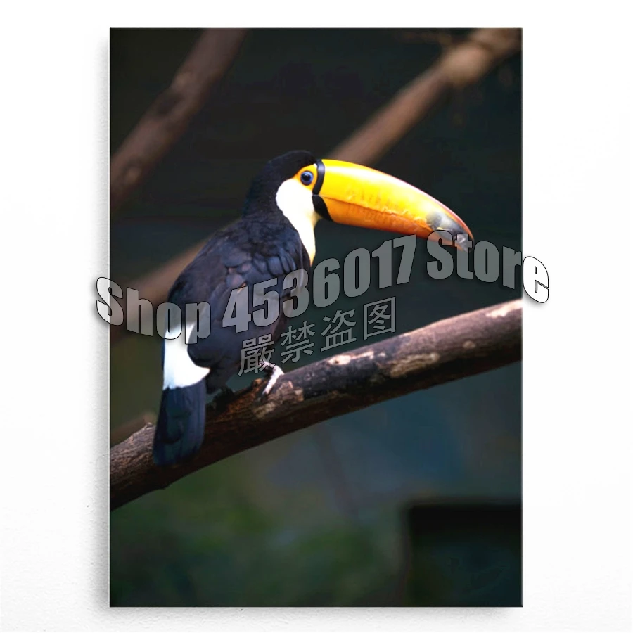 

Animals 5D DIY Diamond Painting Toucan Cross Stitch Needlework Full Round Rhinestone Mosaic Diamond Embroidery Crafts Home Decor