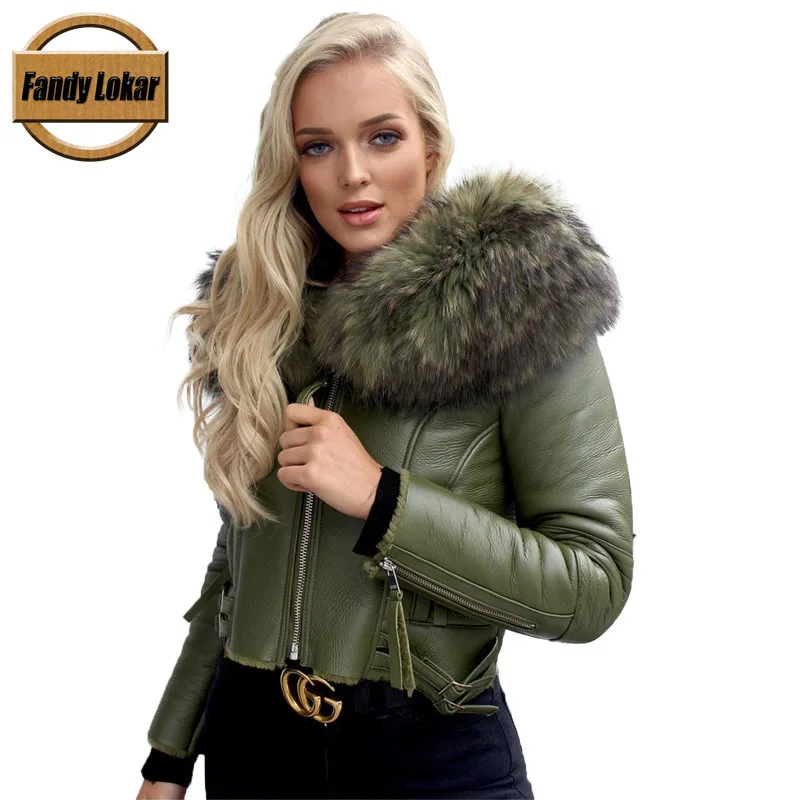 collared winter coat