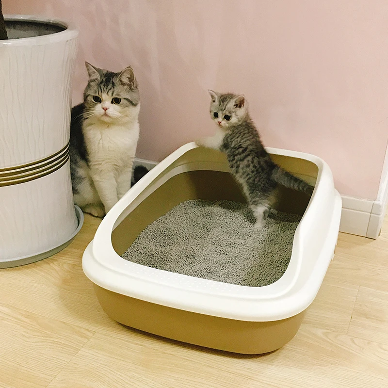 Лоток для кошек. Кошачий туалет. Кот в лотке. Лоток с наполнителем для кошки. Какой лоток лучше для кошки