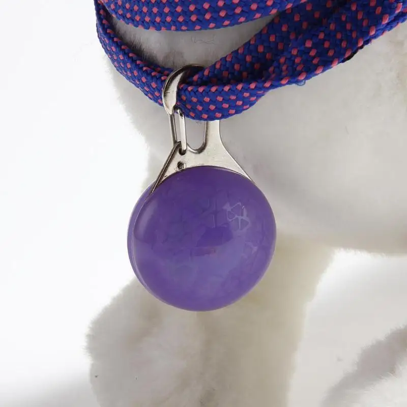 Pet Pendant Safety LED Flash Light Collar Leads Puppy Dogs Bright Light Necklace