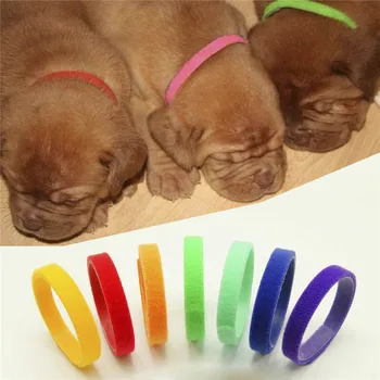 

12pcs Dog's Collars Puppy Kitten Identification Collar Whelping ID Collar Bands For Dogs Free Shipping