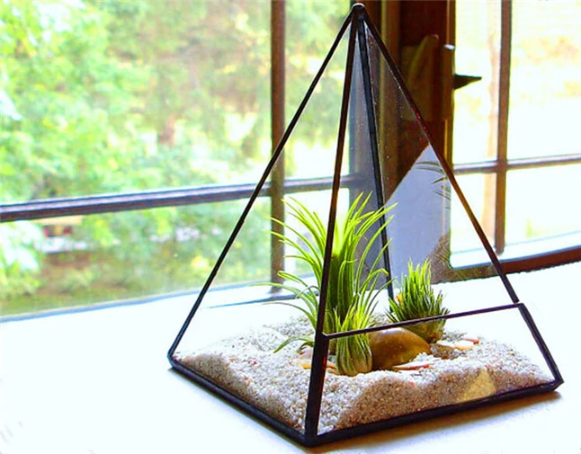Pyramid Terrarium1.jpg