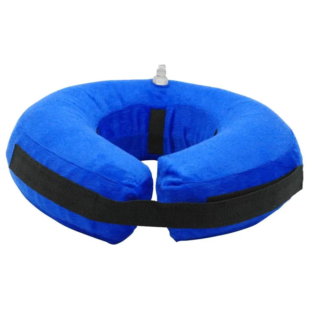 Inflatable Bite Resistant Dog Collar – Buddy &amp; Bella