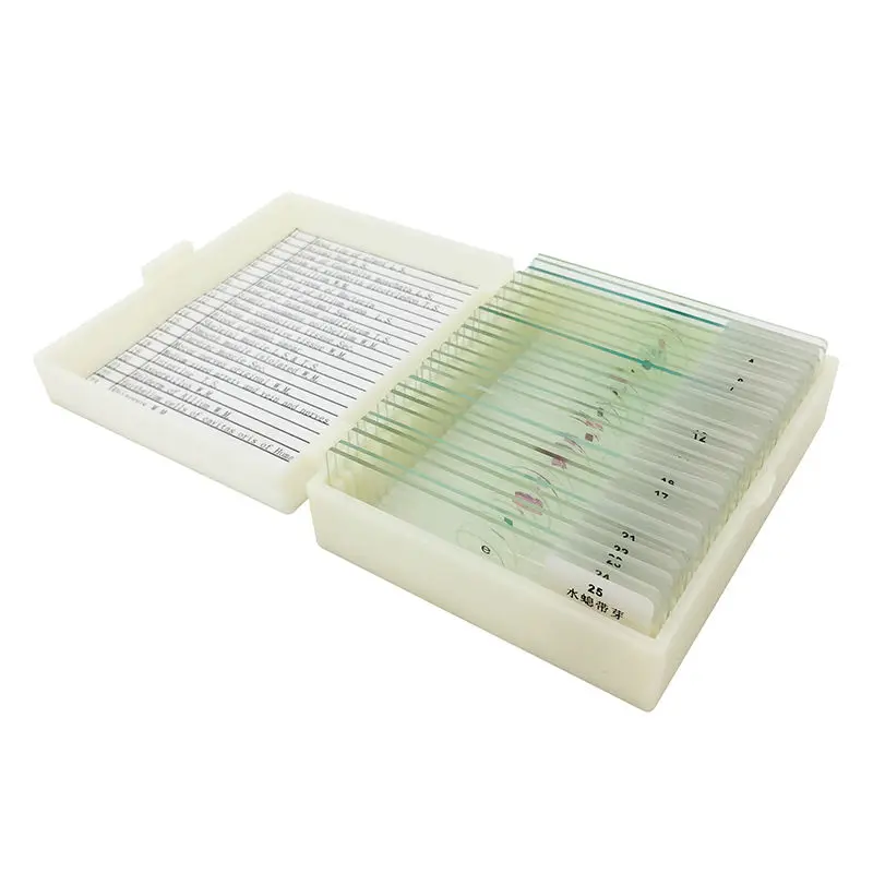 25 PCS Professional Biologic Specimen Slides Prepared Glass Slides for School and Laboratory