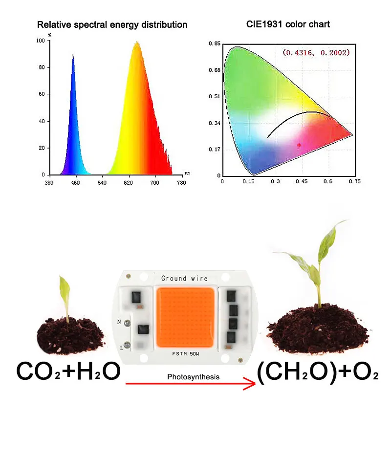 COB_04