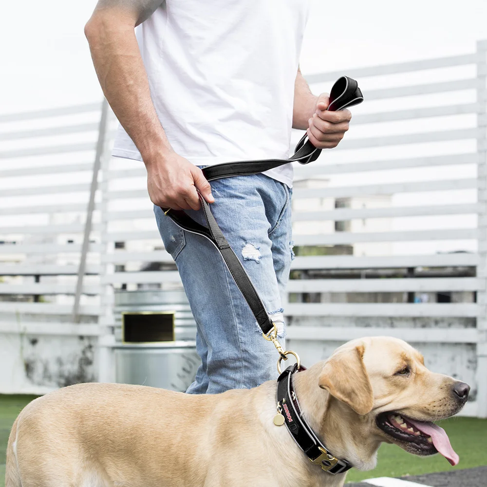 Double Handles Nylon Padded Leash For Greater Control For Medium Large