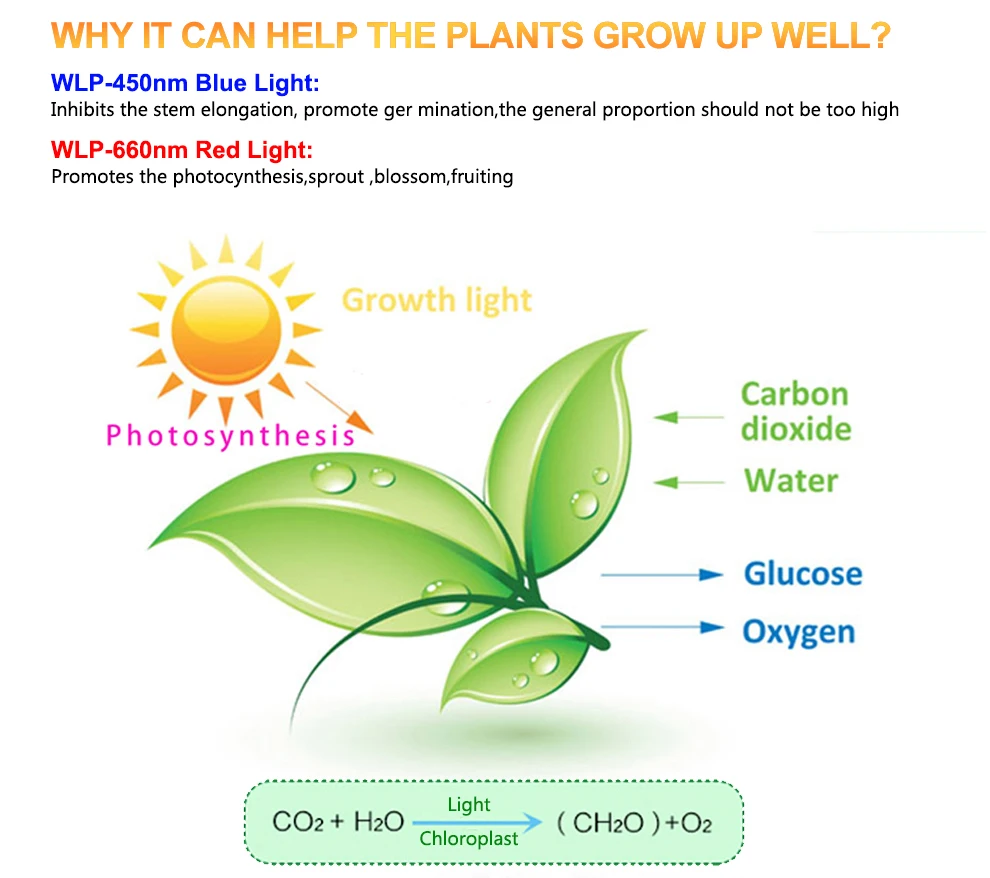 grow light-1