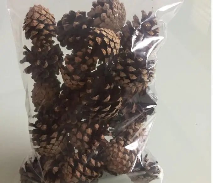 

ProQgf 50Pcs A Set Dried Pine Cones Pinecone natural Dried flowers