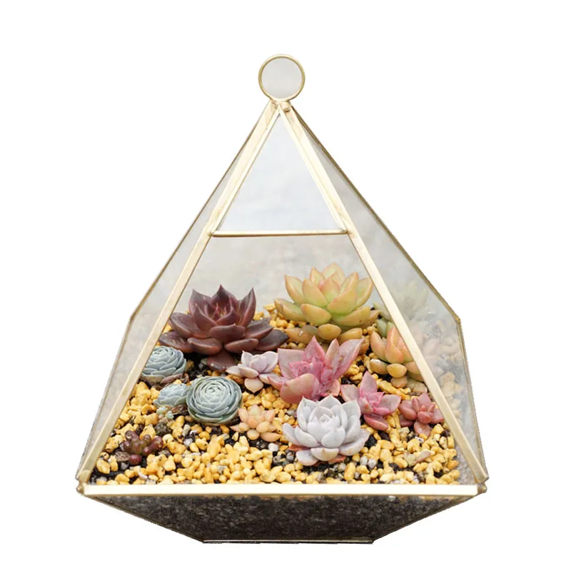 glass Geometric shape vase succulent plants Everlasting flower Home Decoration Flower terrarium glass containers flower vase 6