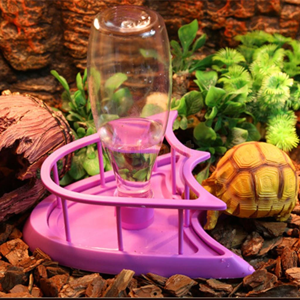 automatic lizard feeder