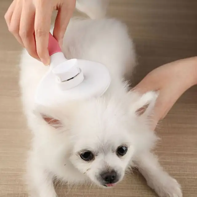 Pet Self Cleaning Comb Cat Dog Hair Brush For Long Short Hair Pet