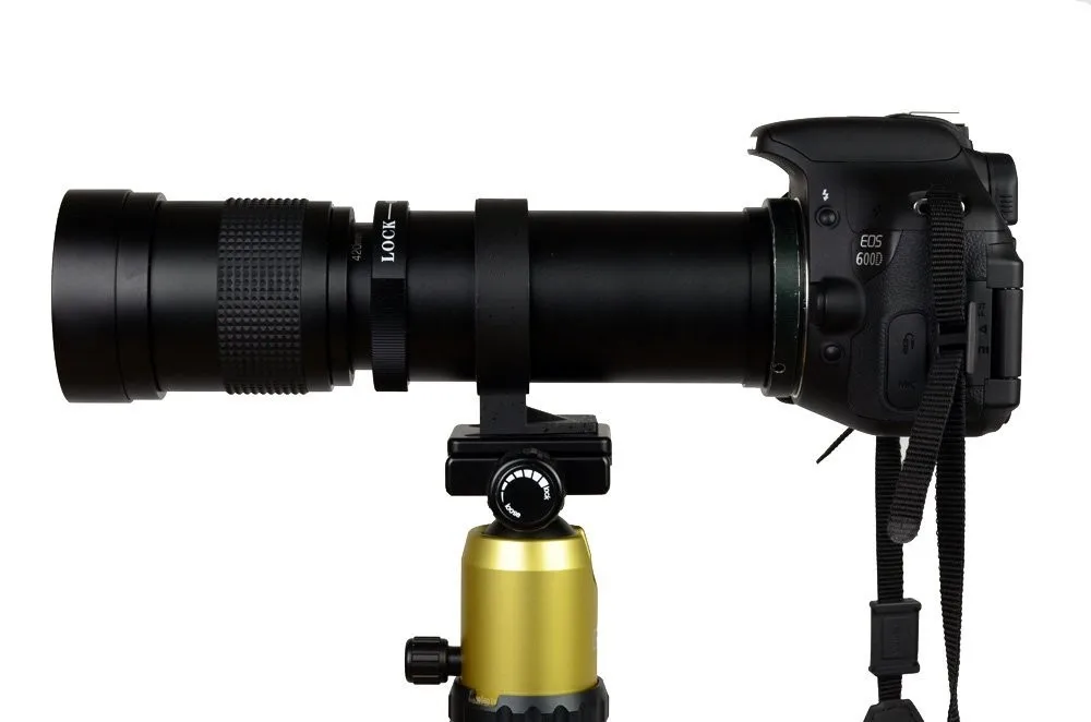 51ZnDhBHfUL._SL1000_