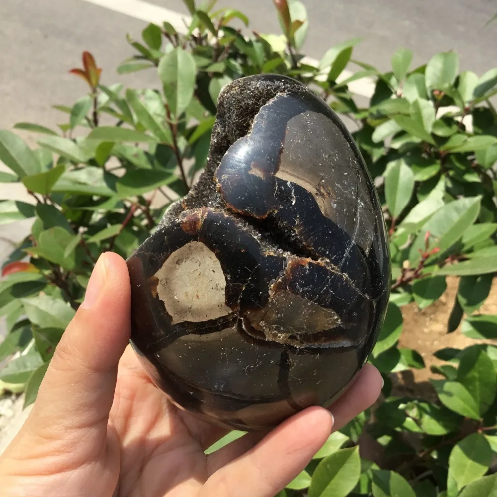 QQ20180621111534
