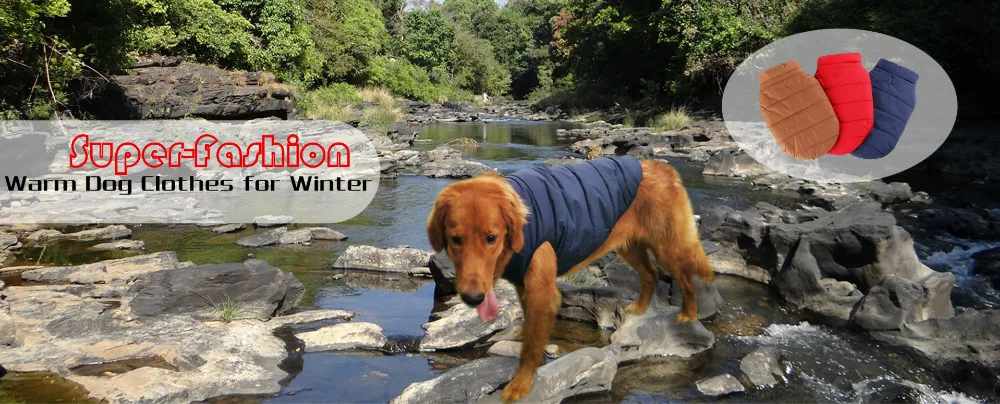 Зимняя одежда для собак пальто для собак ветрозащитный Костюмы теплая одежда с принтом в виде собак для мелких домашних животных на Рождество, пальто, куртки для собак чихуахуа Бульдог
