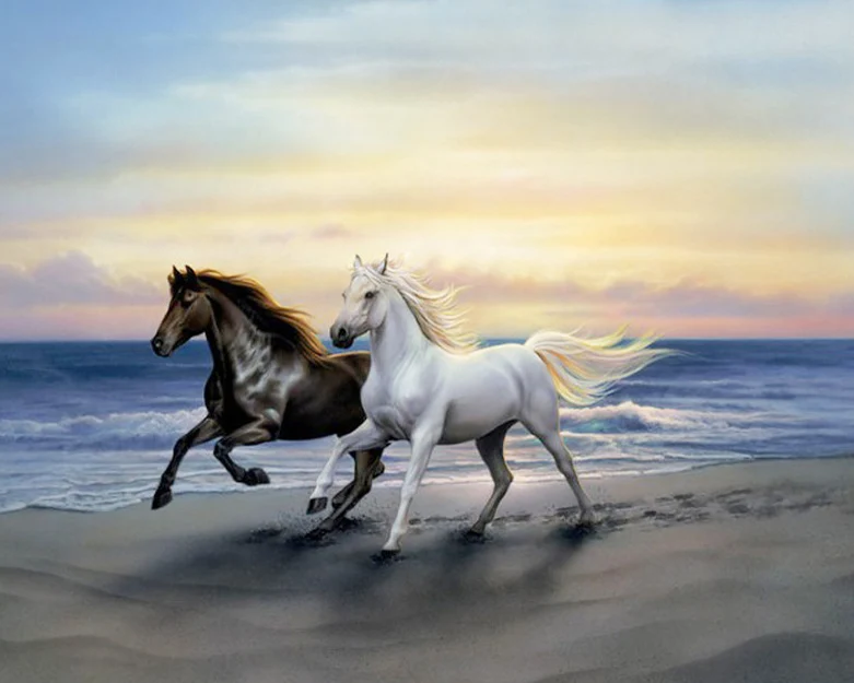 

3D DIY Full Square Diamond Painting Cross Stitch Kits Horse Lover Sea 5D Diamond Mosaic Weddig Decor Gift Diamonds Embroidery