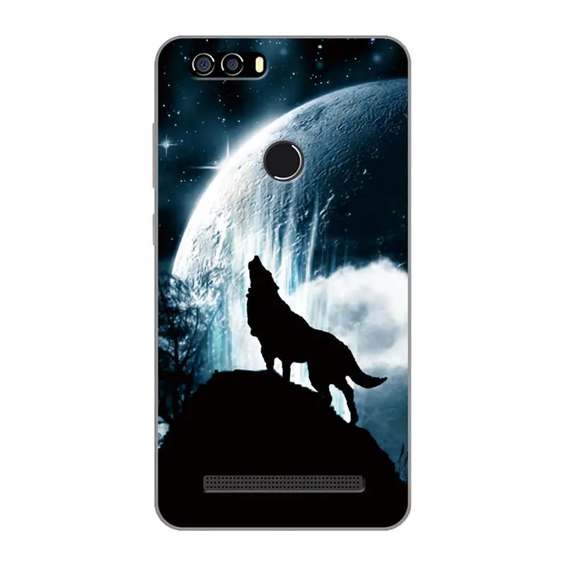Y-34