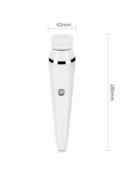 facial cleaner3